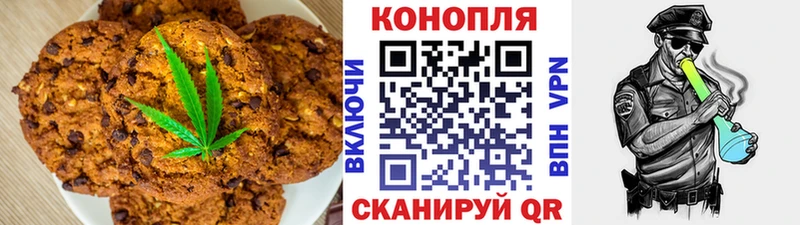 Купить закладки  Краснознаменск  Canna-Cookies марихуана 