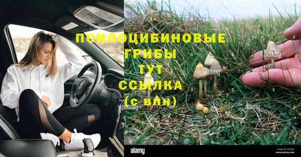 гидра Волосово