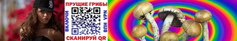 Купить где  Краснознаменск  Галлюциногенные грибы MAGIC MUSHROOMS 